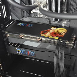 Custom Backplate | One Piece| Coldzero