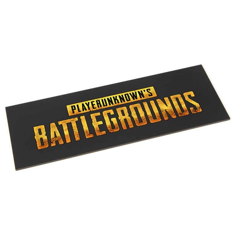 Custom Backplate | PubG| Coldzero