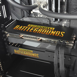 Custom Backplate | PubG| Coldzero
