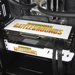 Custom Backplate | PubG| Coldzero