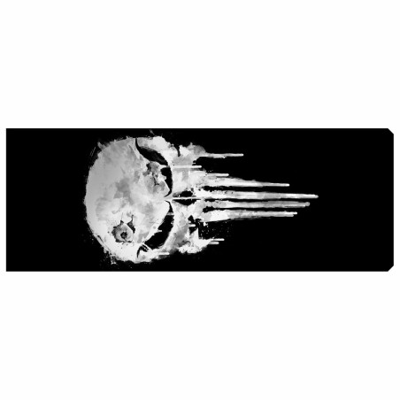 Custom Backplate | The punisher v2 | Coldzero