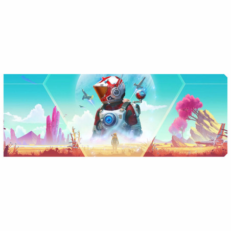 Custom Backplate | No Man's Sky v3 | Coldzero