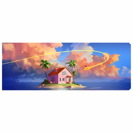 Custom Backplate | Kame House | Coldzero