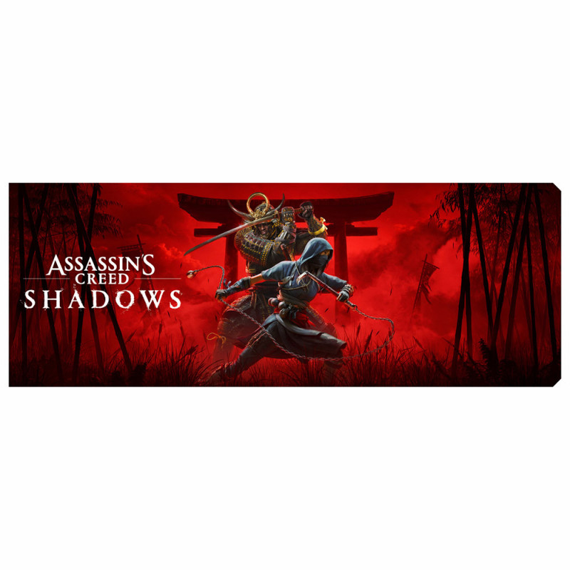 Custom Backplate | AC Shadows | Coldzero