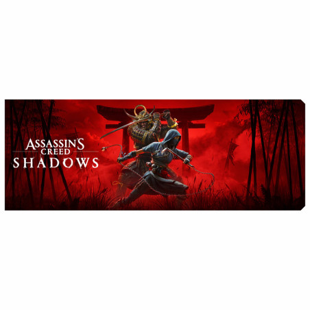 Custom Backplate | AC Shadows | Coldzero