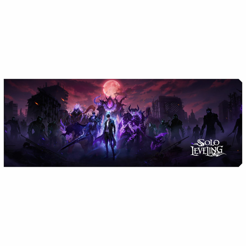 Custom Backplate | Solo Leveling v1 | Coldzero