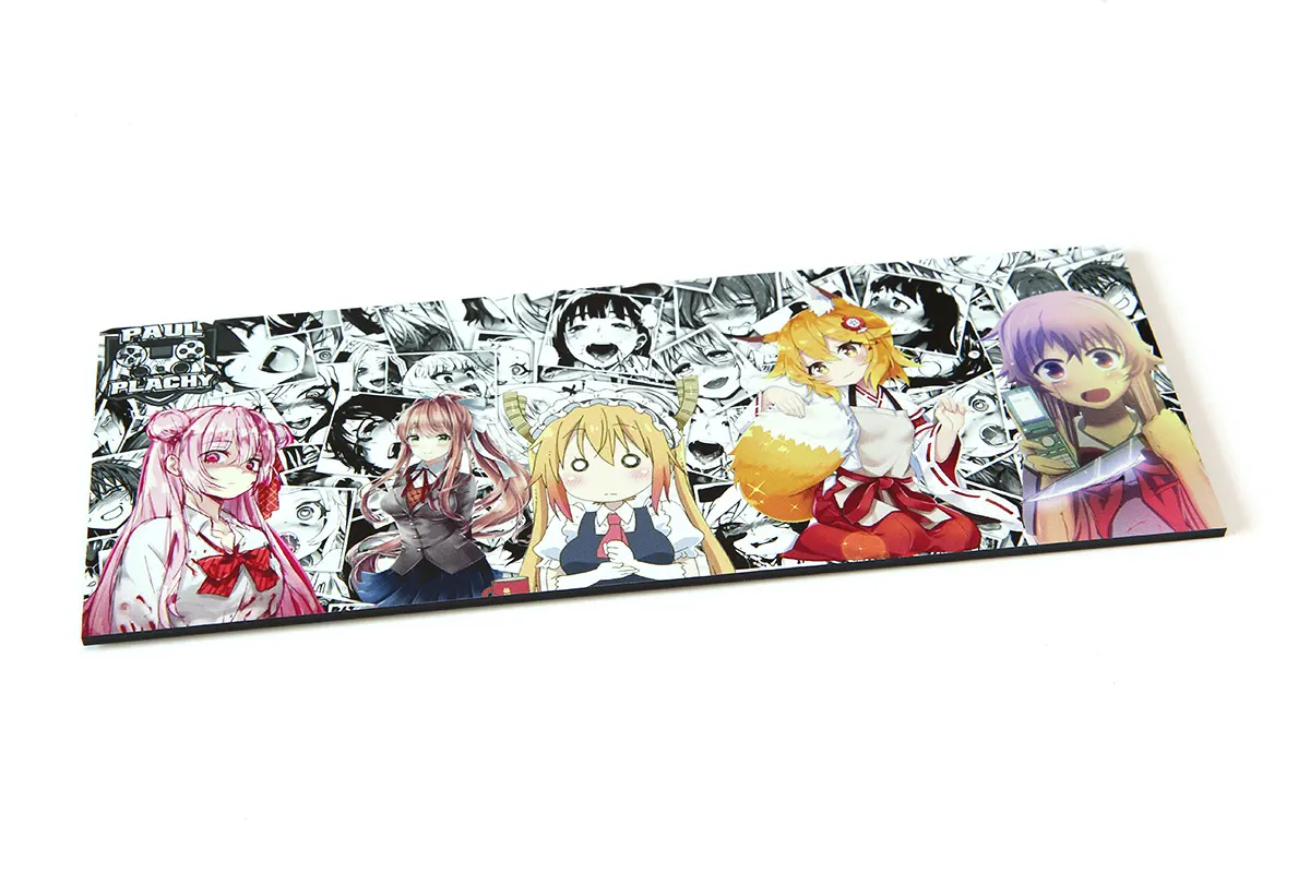 Backplate 0219