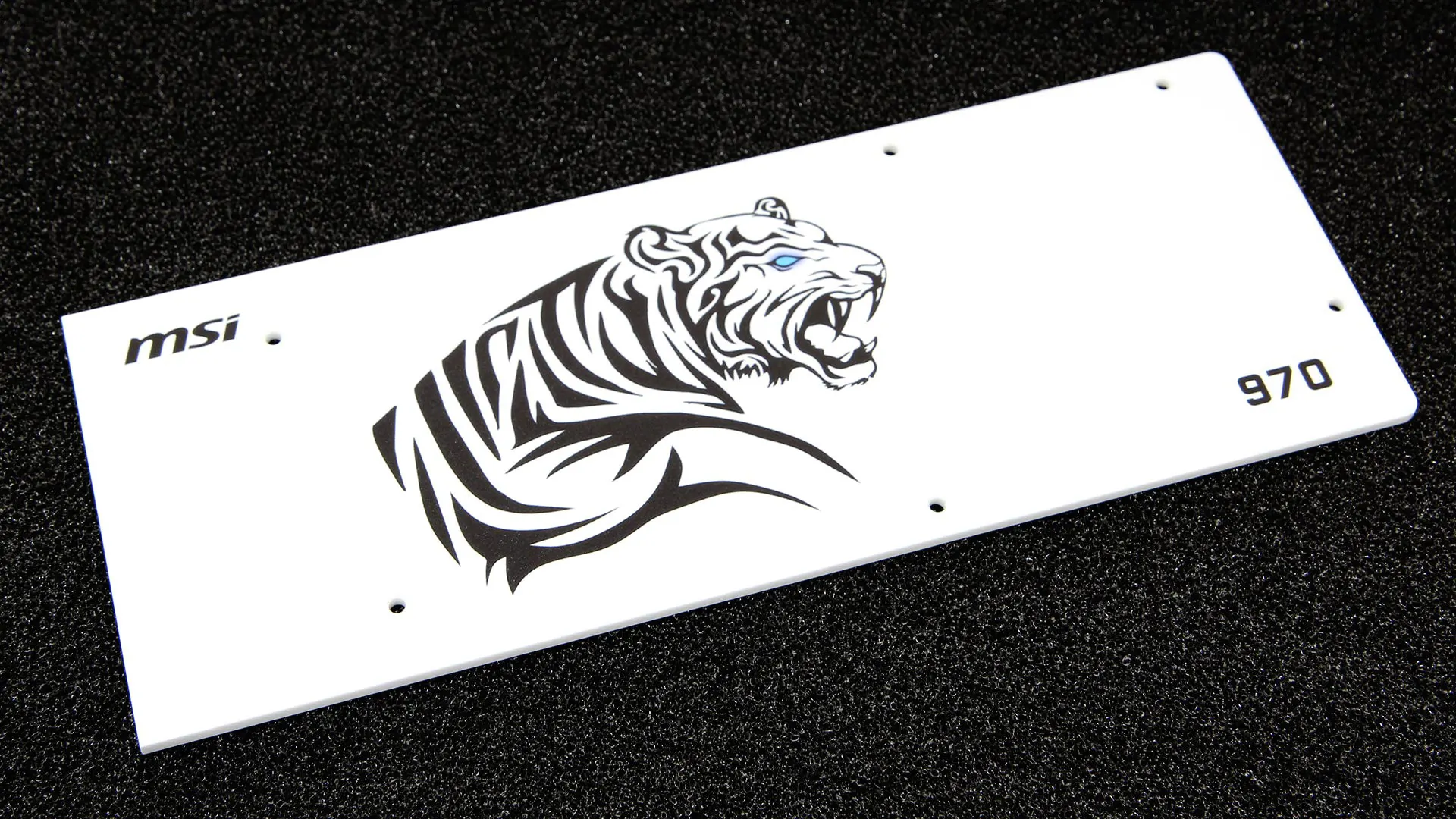 Backplate 0237