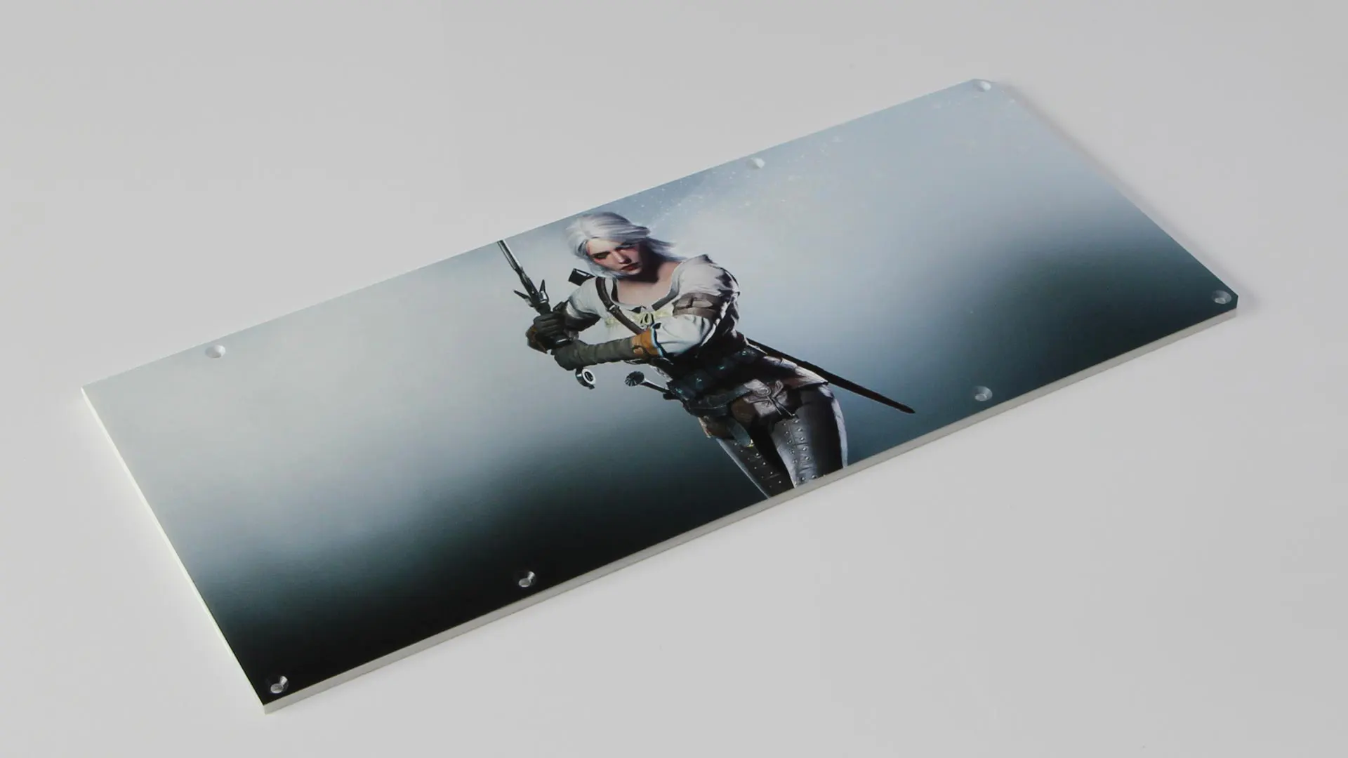 Backplate 0319